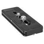 Quick release plate