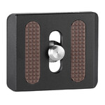 Quick release plate