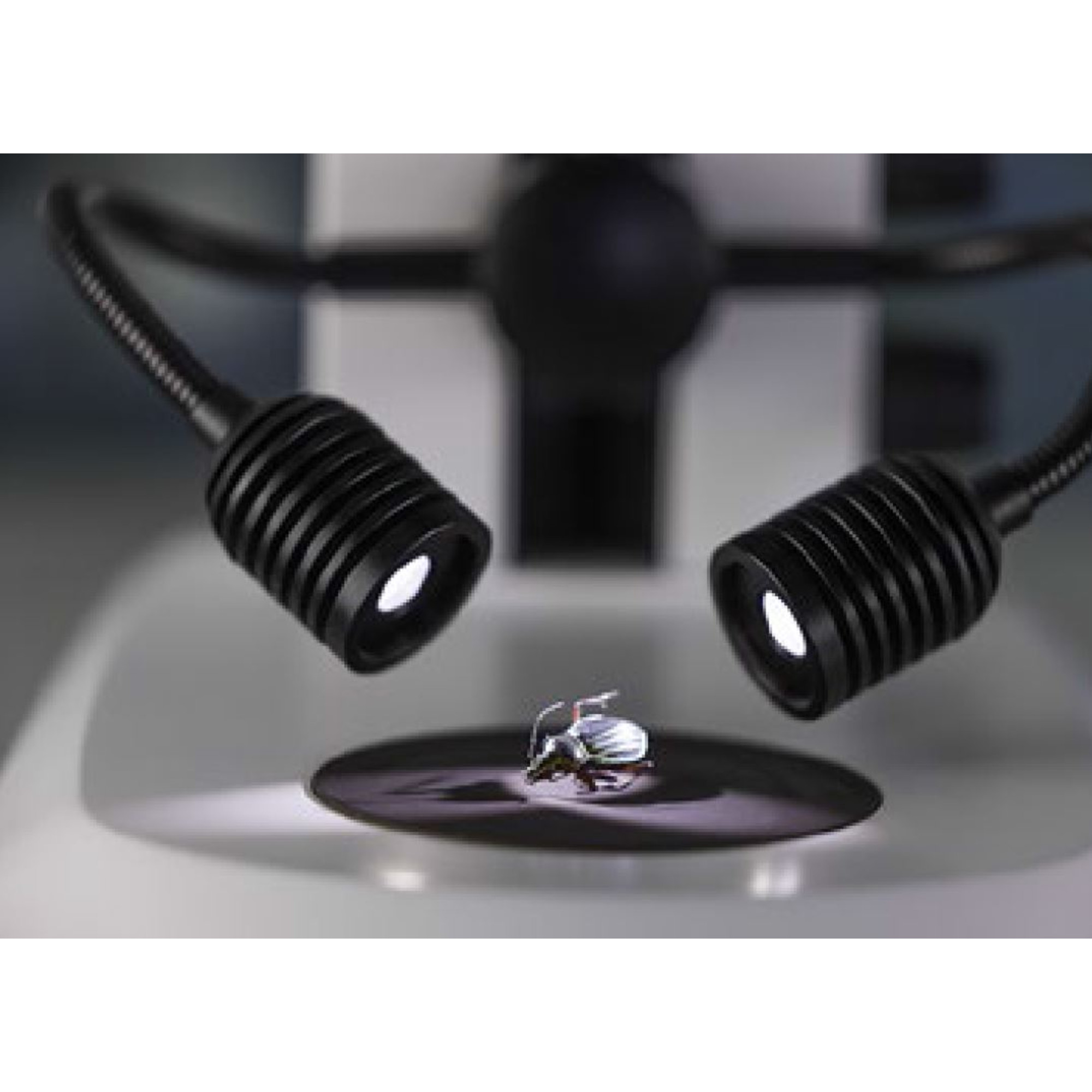 ZEISS Stereo zoom microscope Stemi 305, LAB, bino, Greenough, w.d. 110