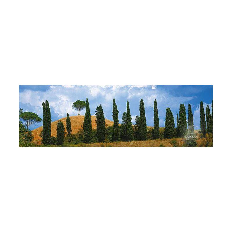 Palazzi Verlag Poster Val Dórica Tuscany canvas print