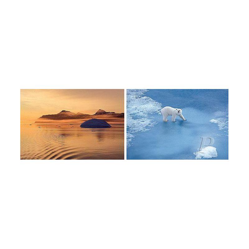 Palazzi Verlag Poster Thule polar bear canvas print