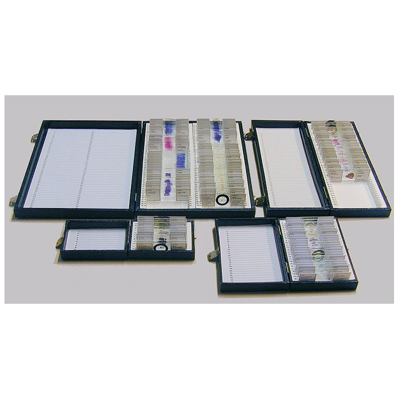 Windaus Storage box, standard model, for 100 prepared slides