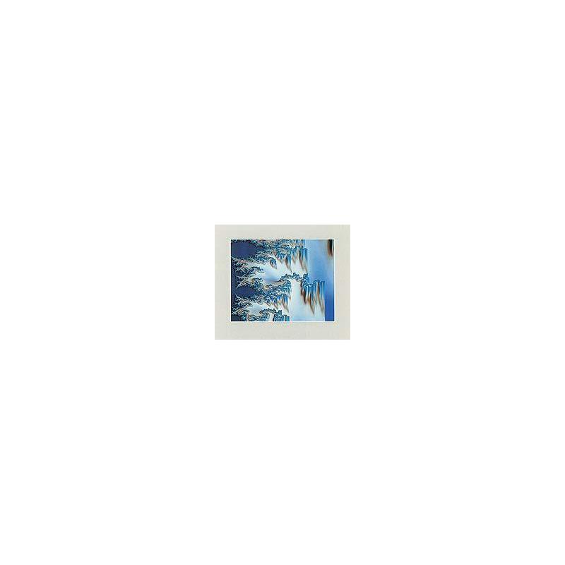Palazzi Verlag Poster Dentritic Structures
