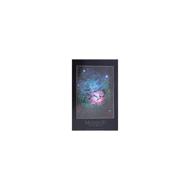 Poster Trifid Nebula M 20 by David Malin