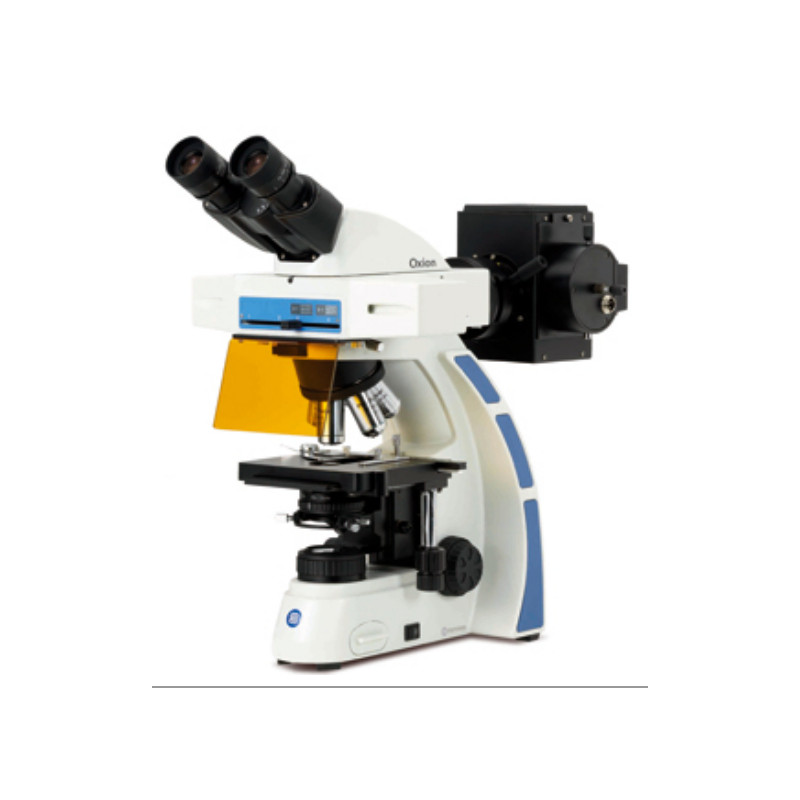 Euromex OX.3080 binocular microscope, Fluarex, oil