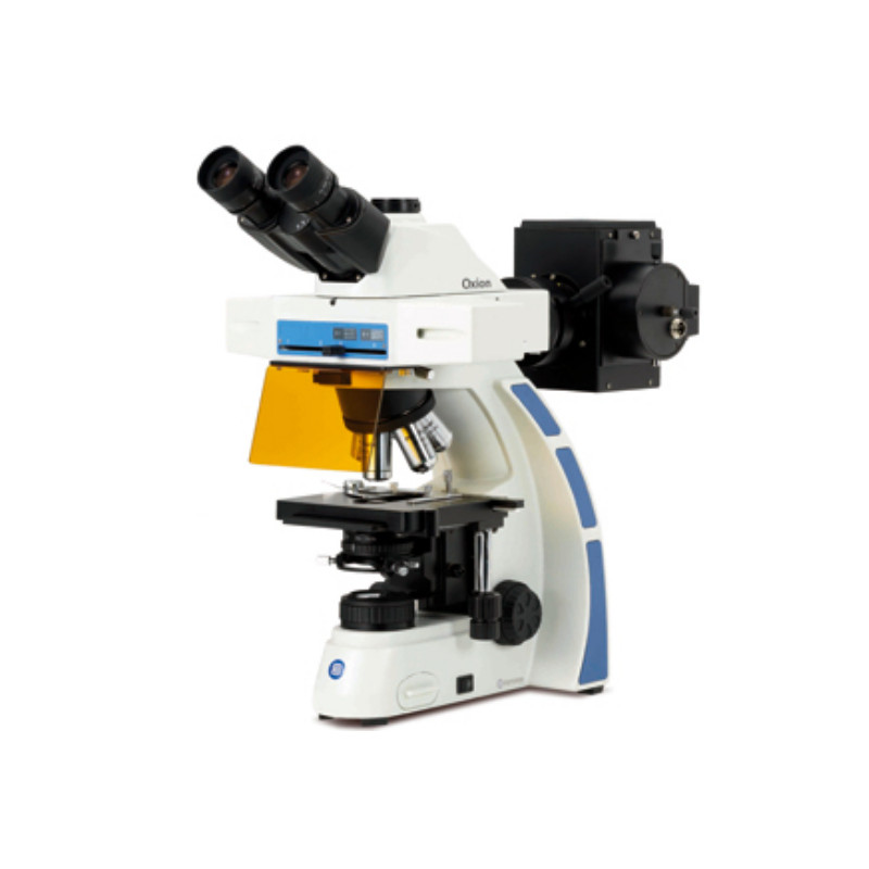 Euromex OX.3085 trinocular microscope, Fluarex, oil immersion