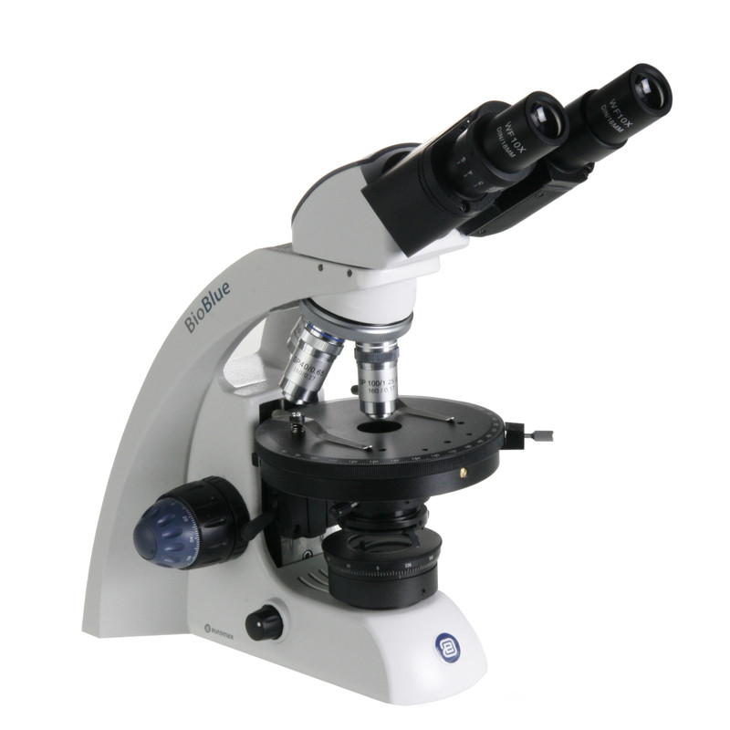 Euromex BB.4260-POL microscope, binocular
