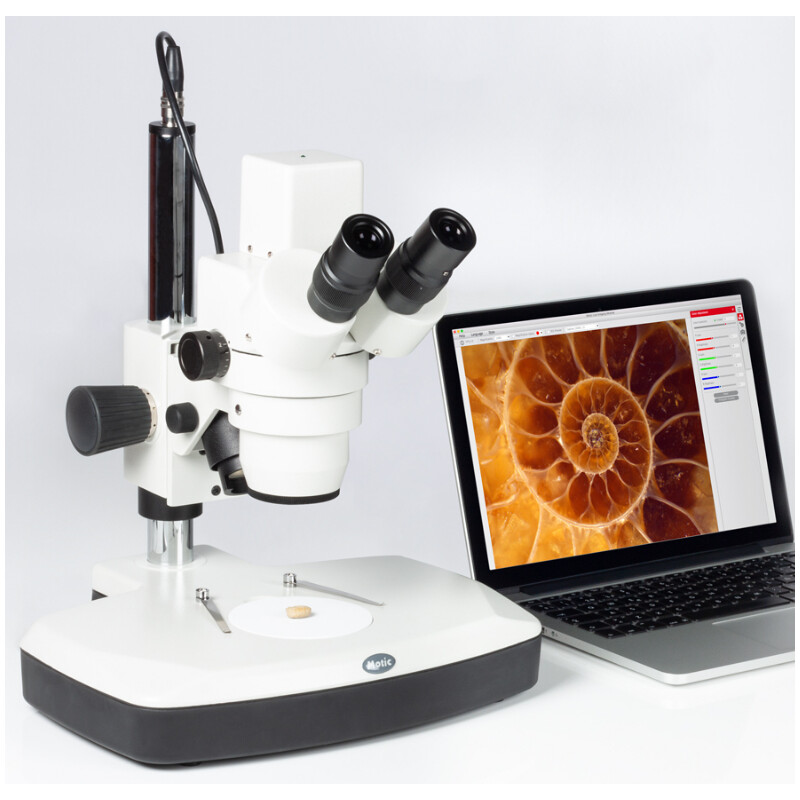 Motic DM-143-FBGG stereo microscope