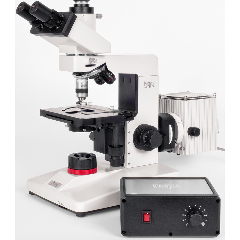 Hund H 600 LL 100 HP dark field microscope