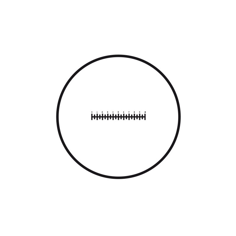 Motic Micrometer scale plate Mikrometerstrichplatte Strichplatte Skala (10mm in 100 Teilen), (Ø25mm)