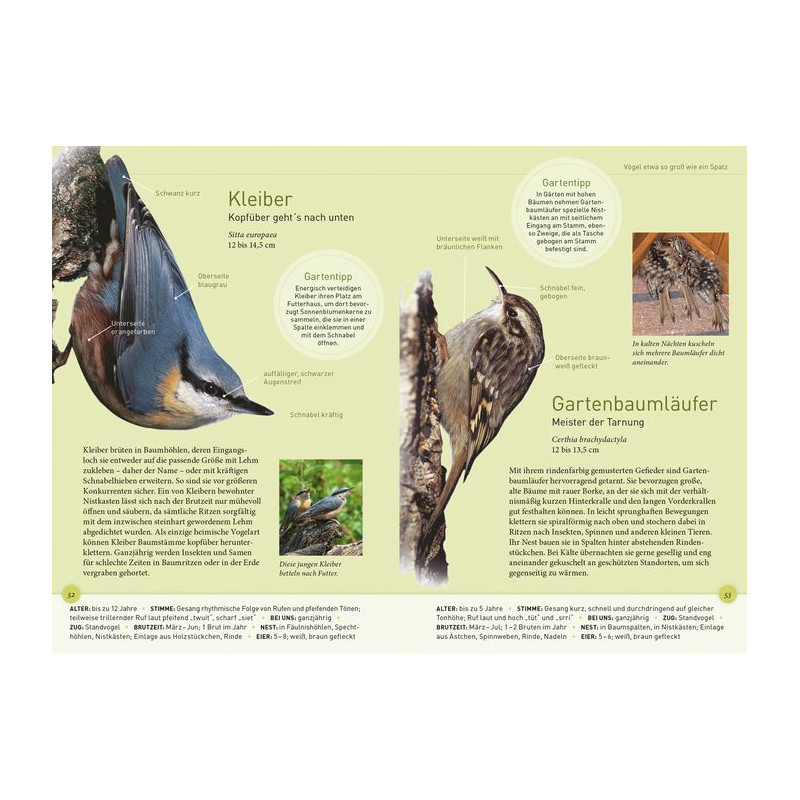 Kosmos Verlag Life Size Garden Birds (in German)