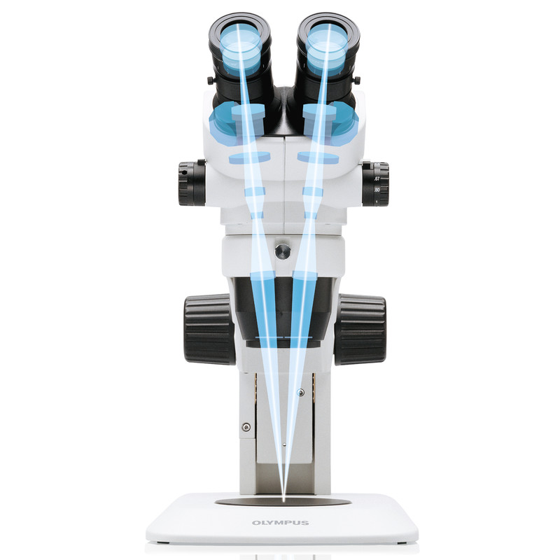Evident Olympus Stereo zoom microscope Olympus SZ61TR RL (trino) + RL66S-80 NW