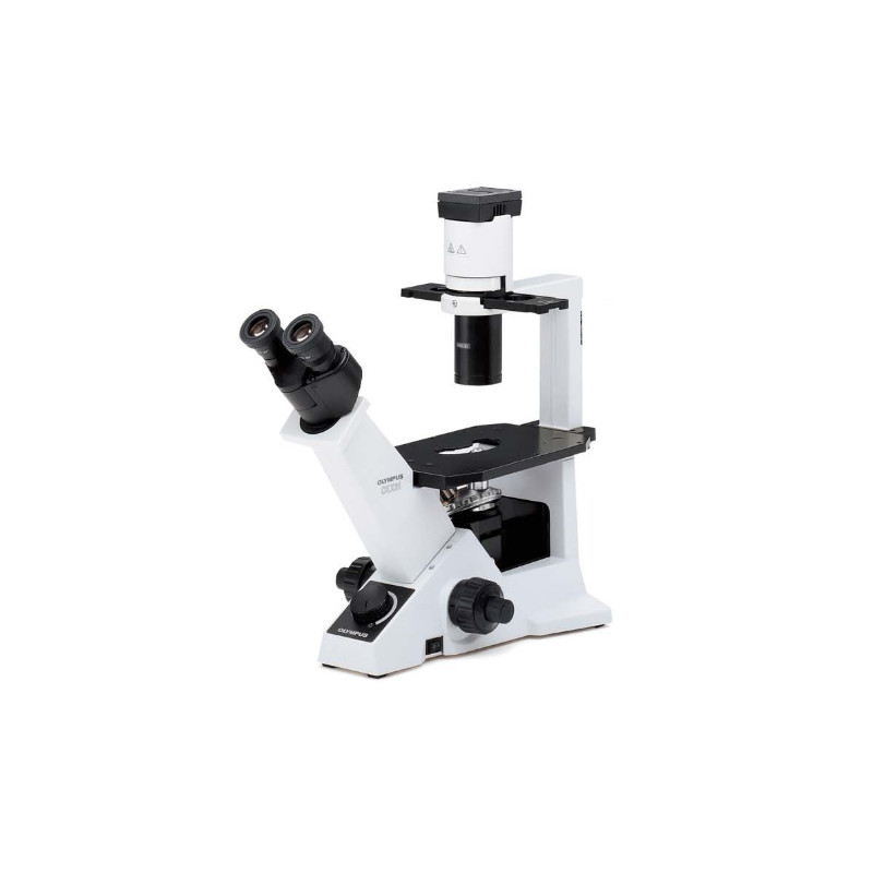 Evident Olympus Inverted microscope CKX31 invers Phase, bino, Hal, 40x, 100x, 200x, 400x