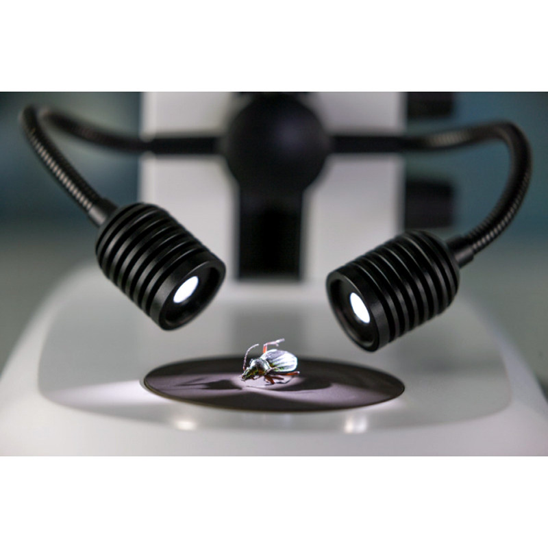 ZEISS Spot Light K LED