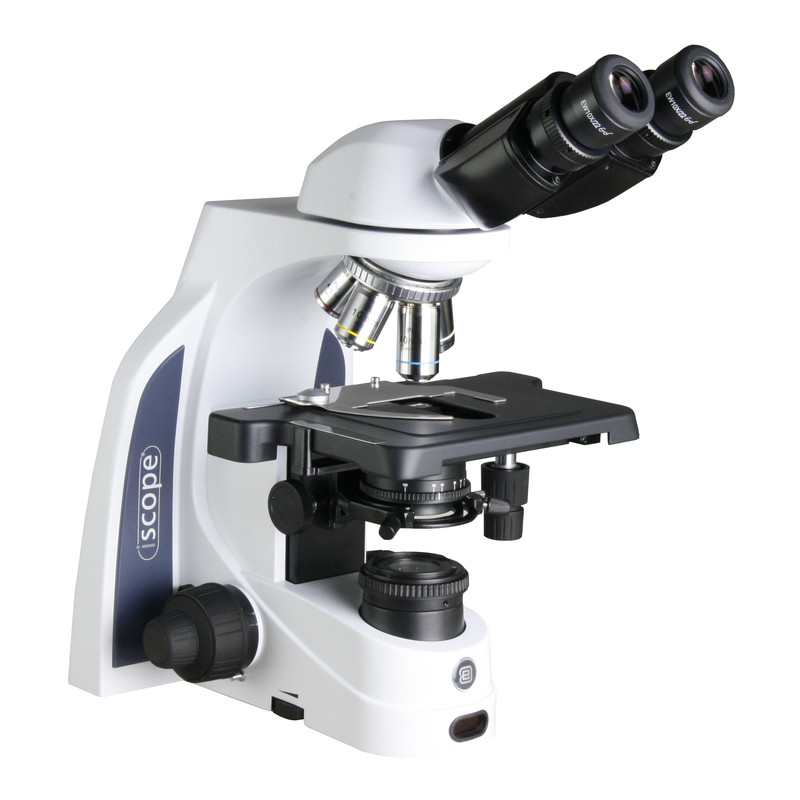 Euromex Microscope Mikroskop iScope IS.1152-EPLi, bino