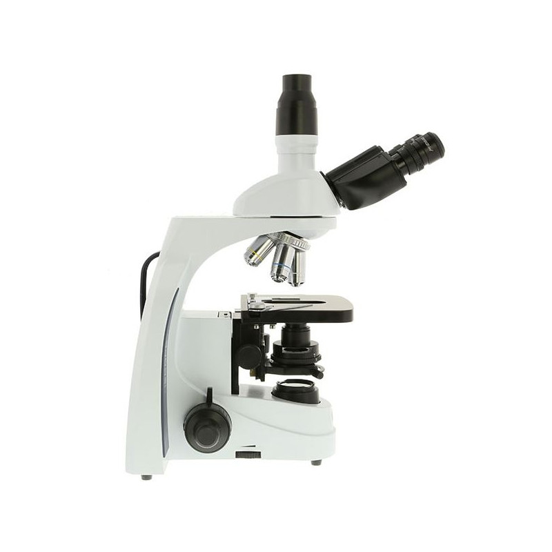 Euromex Microscope iScope IS.1153-PLPH, PH, trino, DIN, plan, 100x-1000x, LED, 3W