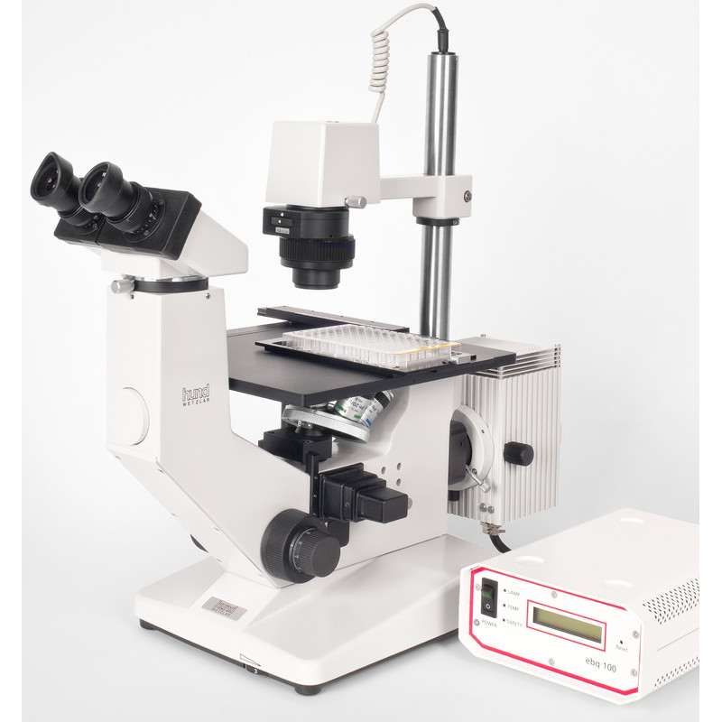 Hund Inverted microscope Wilovert AFL 20, bino