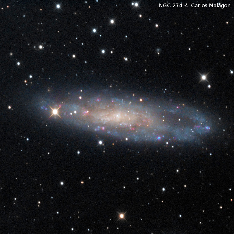 Omegon Telescope Ritchey-Chretien Pro RC 154/1370 EQ570DX Goto