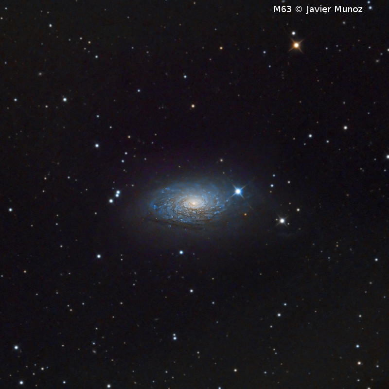 Omegon Telescope Ritchey-Chretien Pro RC 154/1370 EQ570DX Goto