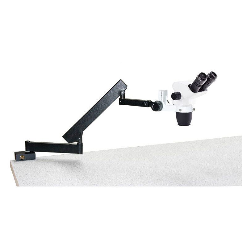 Euromex NZ.1702-A, NexiusZoom EVO, 6,5x to 55x, articulated stand, w.o. illumination, bino