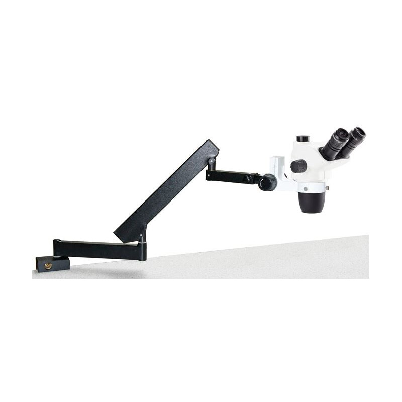 Euromex NZ.1703-AP, NexiusZoom EVO, 6.5x to 55x articulated arm with table clamp, without Lighting, trino
