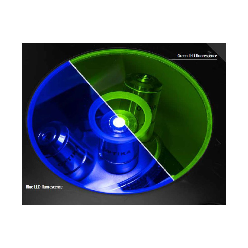 Optika Microscope IM-3FL4-UK, trino, inverse, FL-HBO, B&G Filters, IOS LWD U-PLAN F, 100x-400x, UK