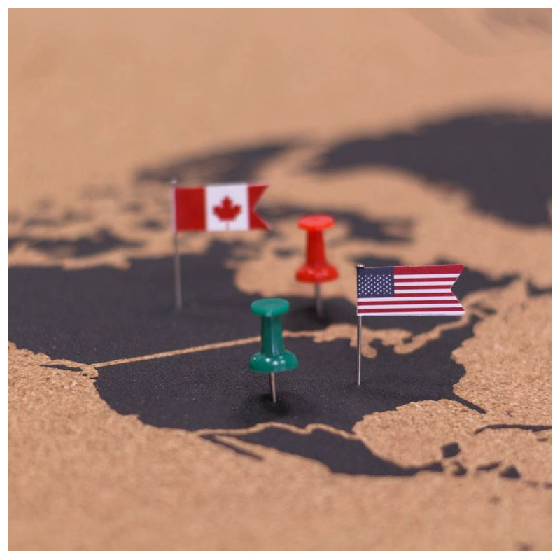 Miss Wood Woody Map Natural Cork L black