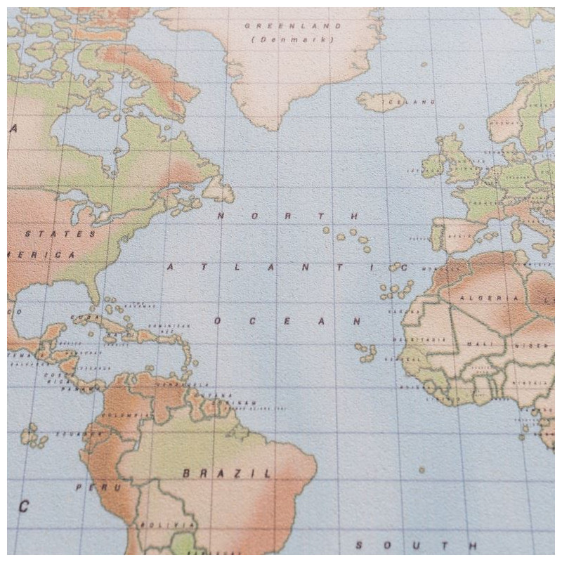 Miss Wood Woody Map Watercolour Physical L