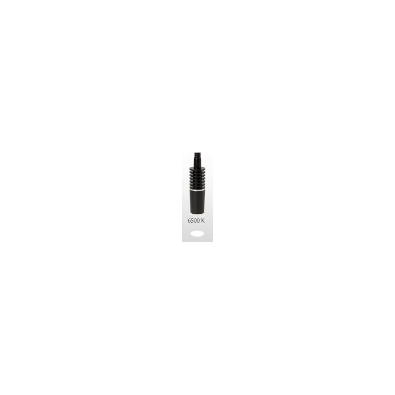 Euromex lighting station LE.5260, white light conductor, 6500K for NZ.9018, LE5207, LE.5212