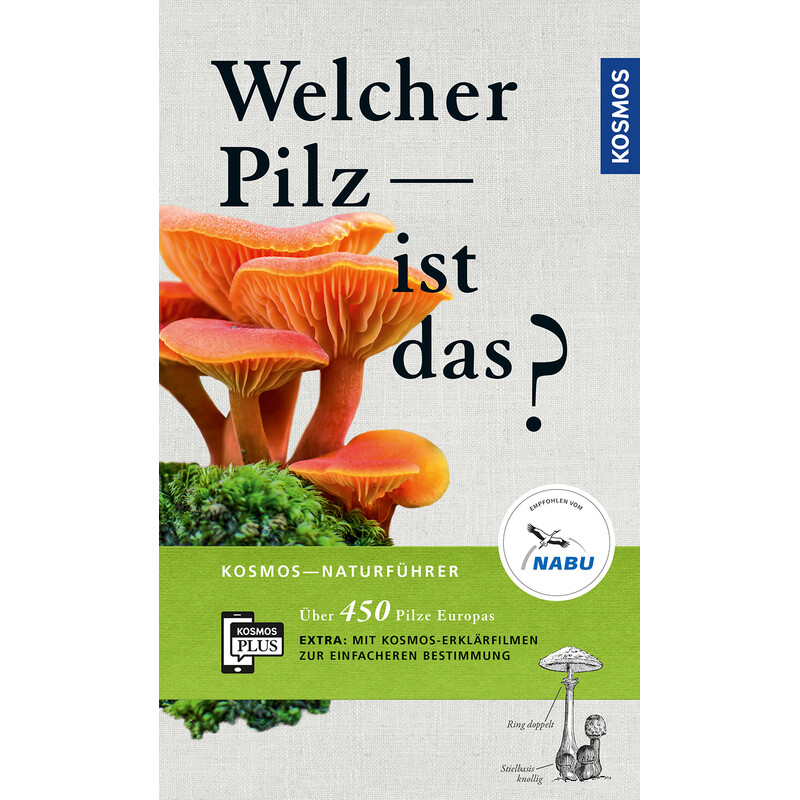 Kosmos Verlag Welcher Pilz ist das?