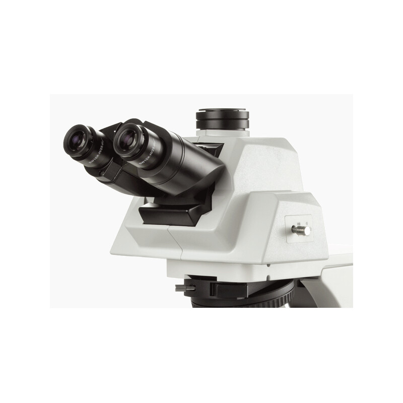 Euromex Microscope Mikroskop DX.1158-APLi, trino, plan, apo, 40x-1000x, ergo head, AL, LED-3W