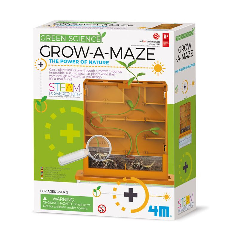 HCM Kinzel Growing Maze