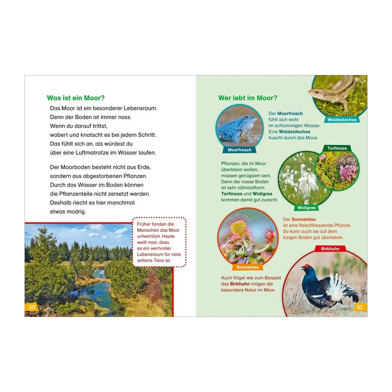 Tessloff-Verlag WAS IST WAS First Reading: Discovering Nature