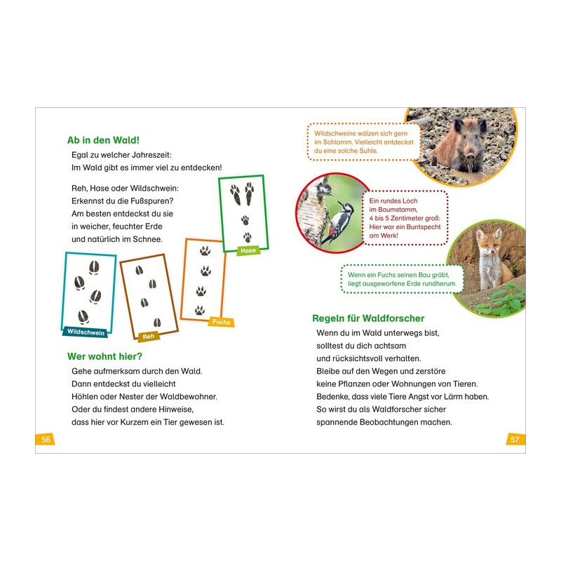 Tessloff-Verlag WAS IST WAS First Reading: Forest