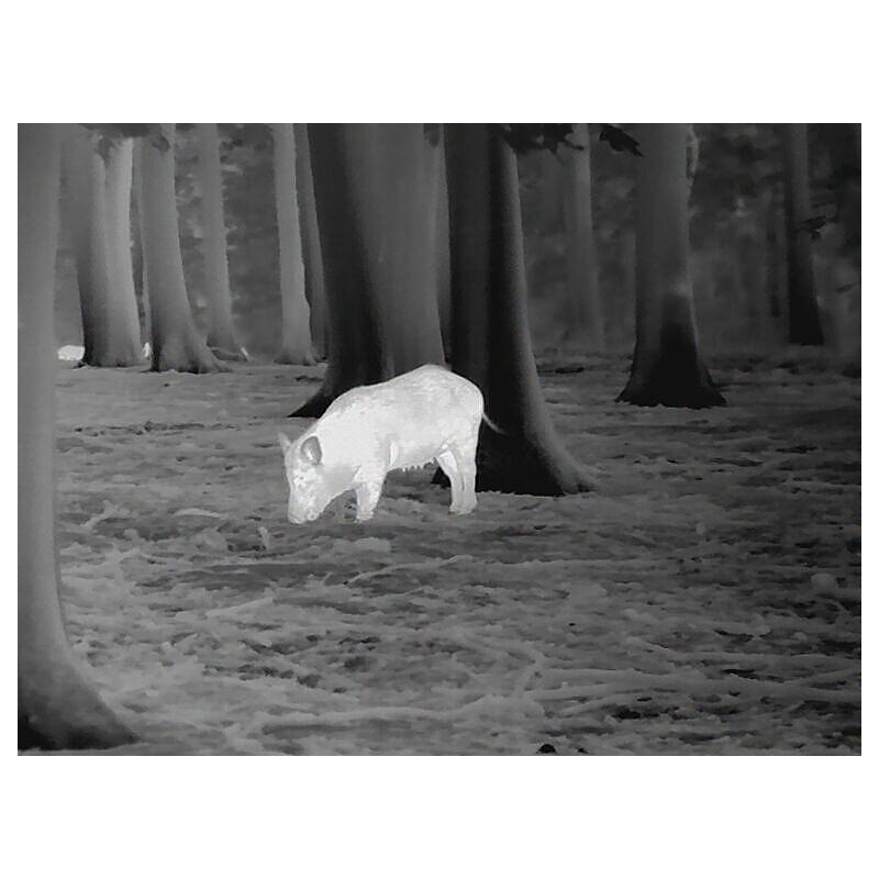 Leica Thermal imaging camera Calonox View