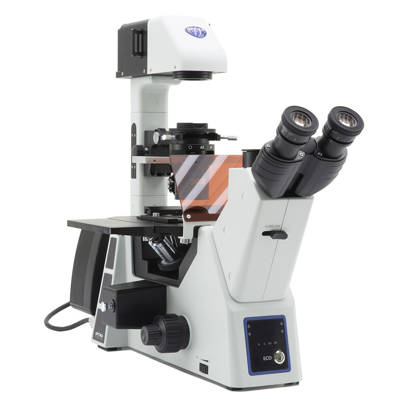 Optika Microscope IM-5FLD-EU, trino, inverted, FL-LED, w.o. objectives, EU