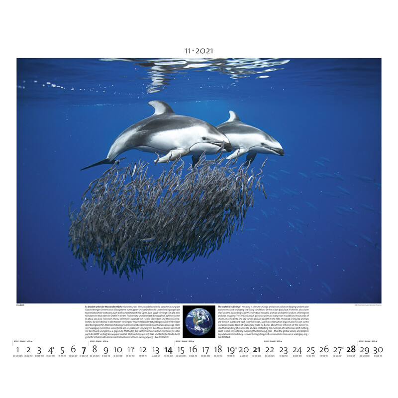 Palazzi Verlag Calendar Planet Earth 2021