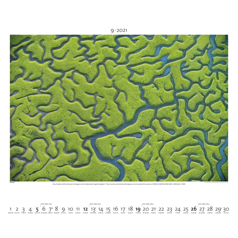 Palazzi Verlag Calendar World from Above 2021