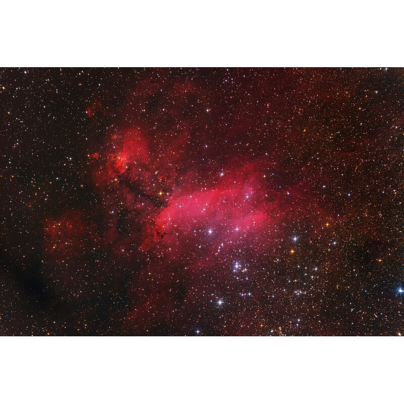 Omegon veTEC 410 C Colour Camera