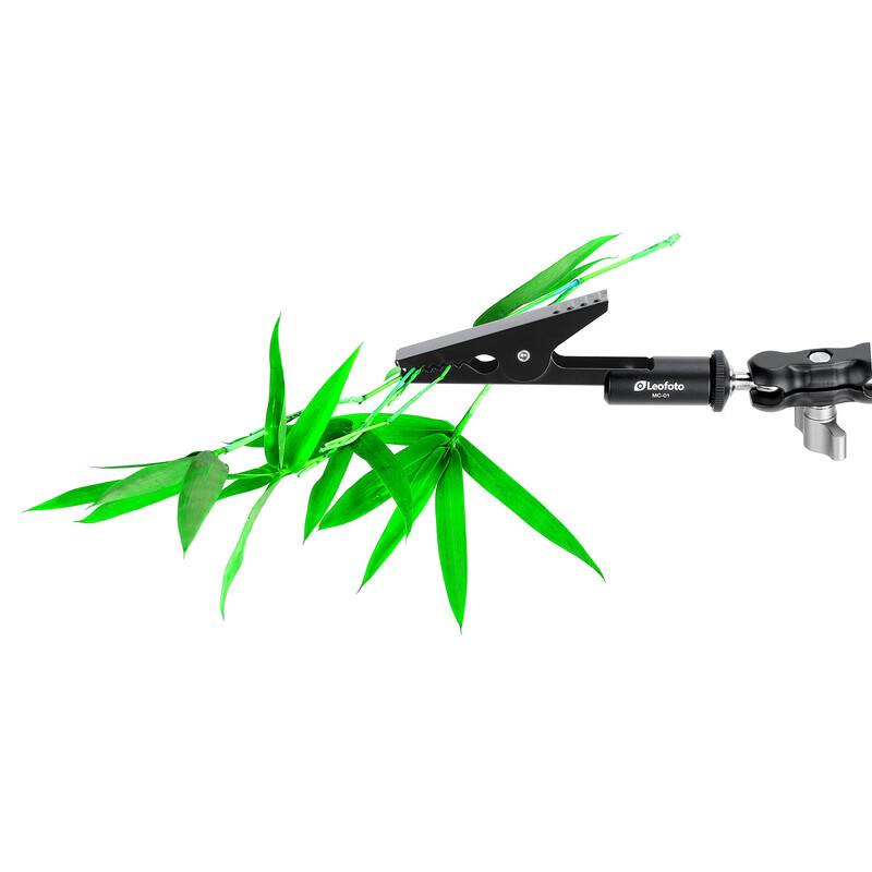 Leofoto MC-01 clamp