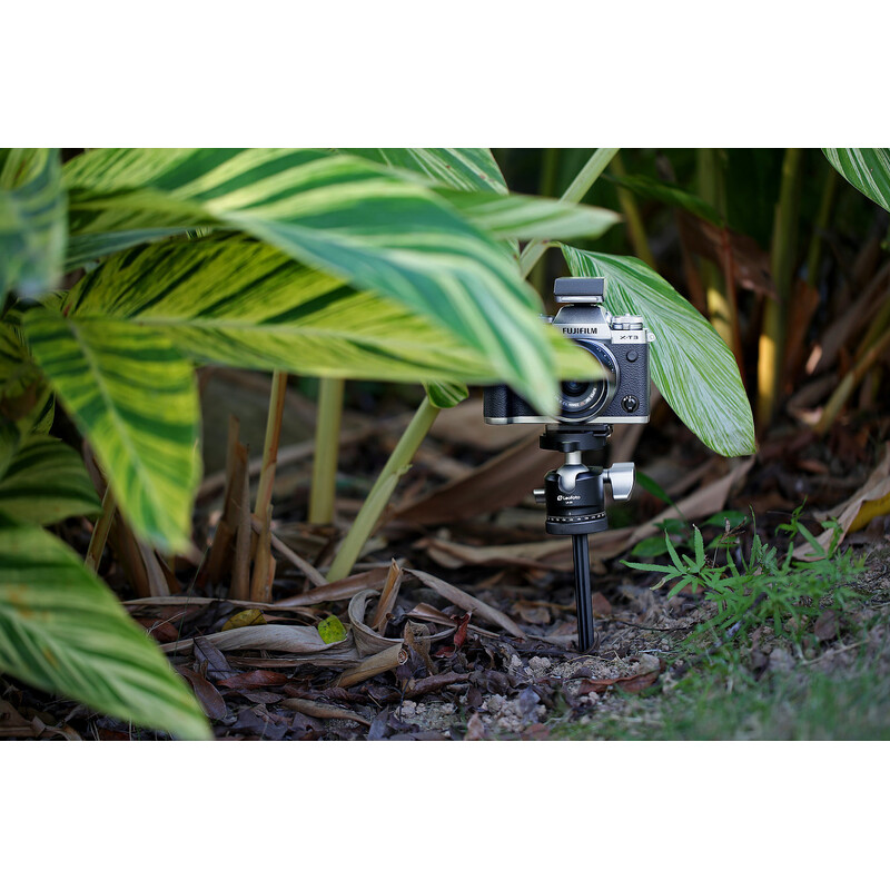 Leofoto Tripod A200 Ground Spike + P50 Support Plate