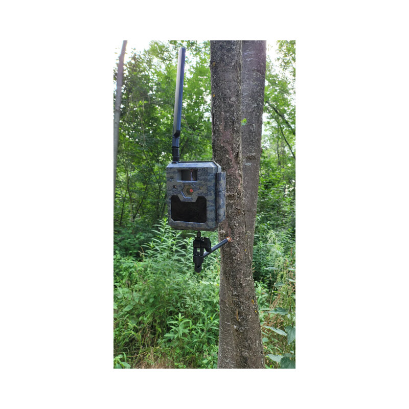 ICU tree screw with ball head