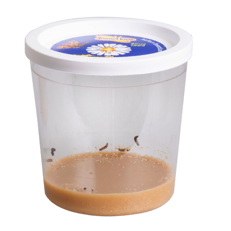 HCM Kinzel Pre-Paid-Butterfly Garden