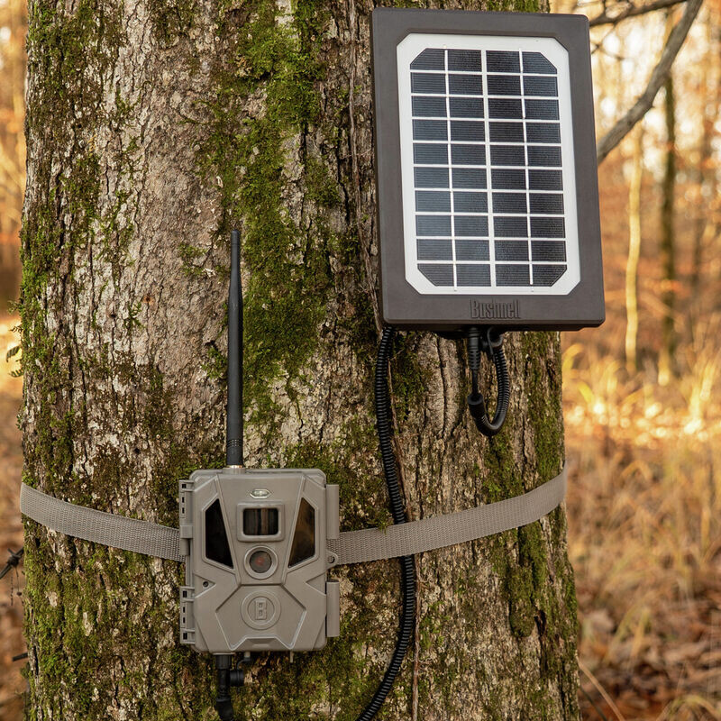Bushnell Solar panel Tan Universal, box