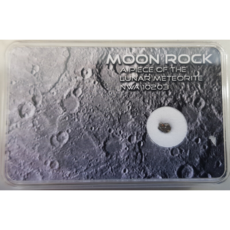 SR-Meteorites Genuine Moon Meteorite NWA10203