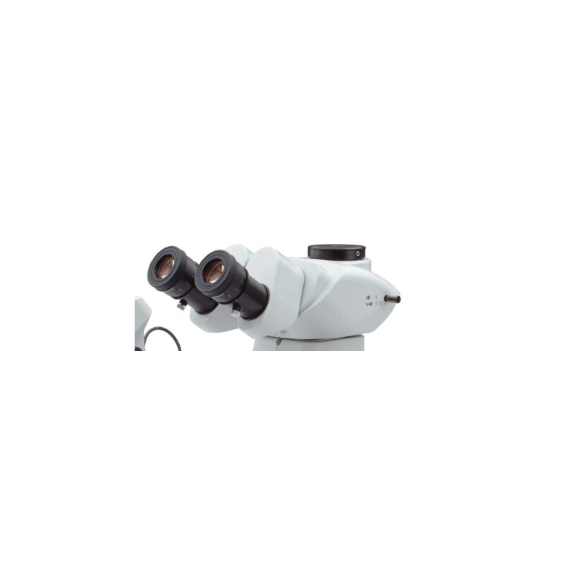 Evident Olympus Stereo zoom microscope Olympus SZX7 ILLTQ, trino, achromatic, 1x, LED