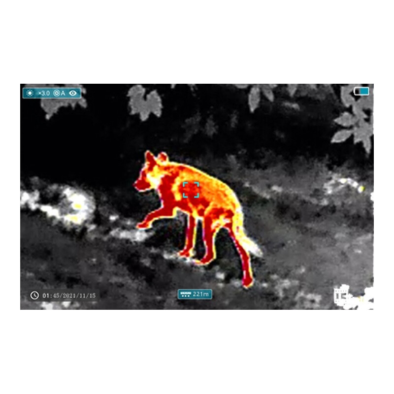 InfiRay Thermal imaging camera FH35R