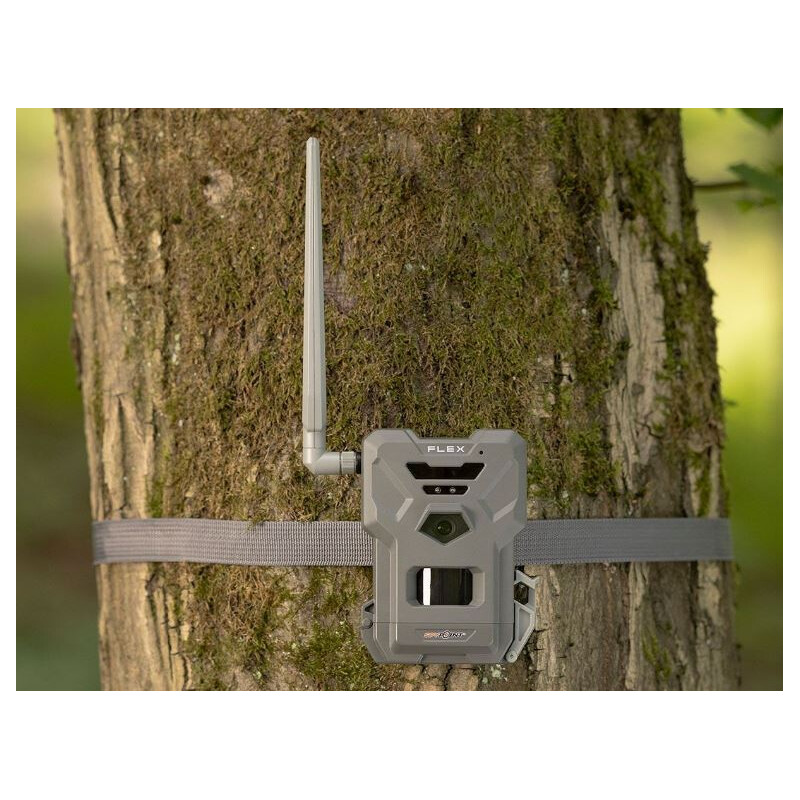 Spypoint FLEX wild camera