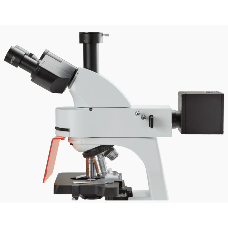 Euromex Microscope BS.3153-PLFi, trino, FL, plan, fluarex, INFINITY, 40x-1000x, 10x/22, LED