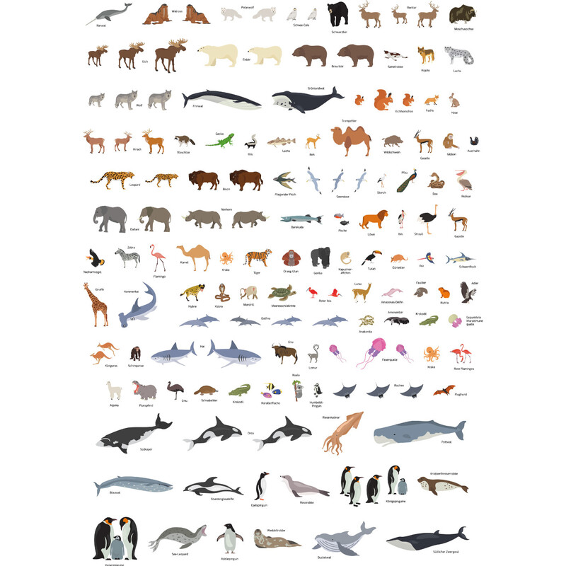 GeoMetro Childrens map The World of Animals (84 x 60 cm)